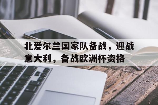 北爱尔兰国家队备战，迎战意大利，备战欧洲杯资格的简单介绍
